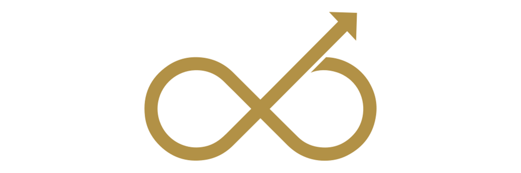 Leiderschapsontwikkeling, coaching, loopbaancoaching en organisatieontwikkeling