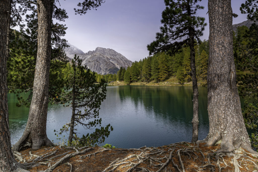 Traditionele coaching versus Soulver Alblasserdam