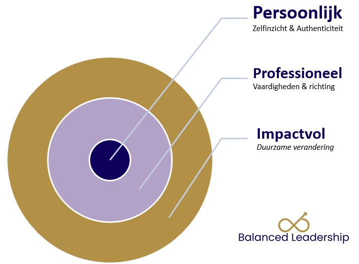 Balanced Leiderschap, Soulver coaching
