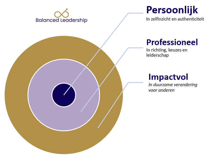 Balanced Leiderschap, soulver